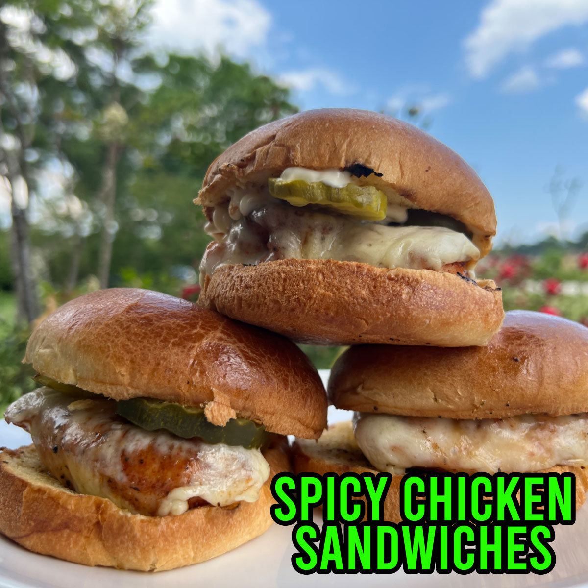 Easy Spicy Chicken Sandwich seasoned with Crispy's Mango habanero and Willie Pete Chicken Seasoning